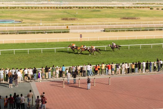 Exploring the Dynamic Impact of Online Betting on Sports Culture